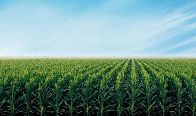 种植技术,养殖技术-种养联盟
